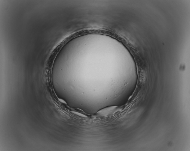 X0000097901208200803281331