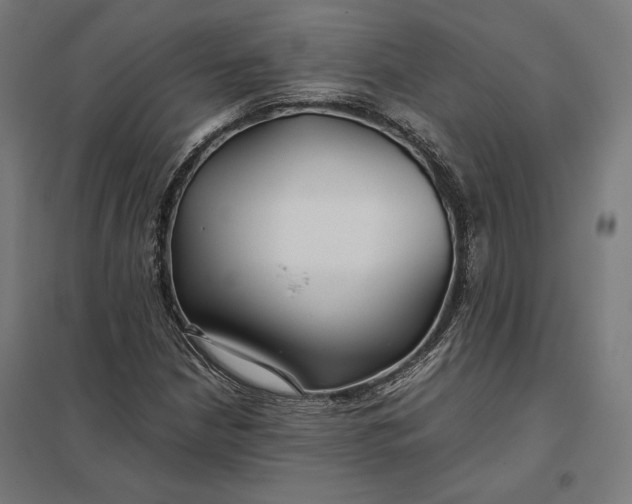 X0000097901210200803281331