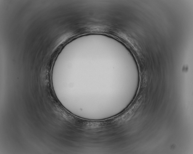 X0000097901211200803281331