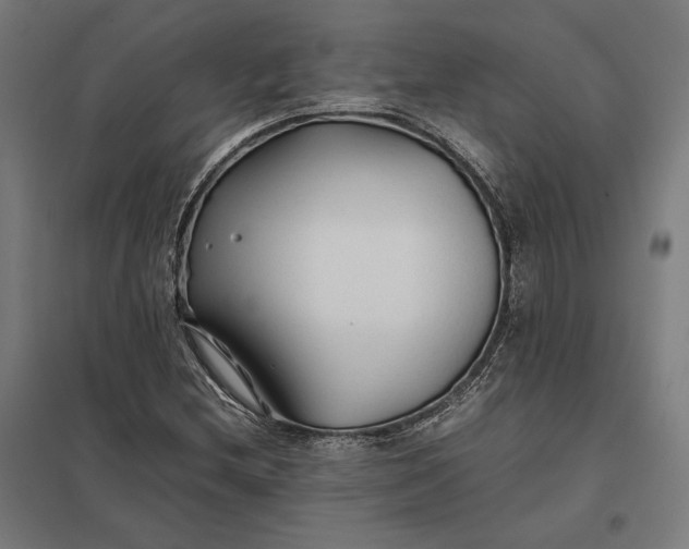 X0000097901212200803281331