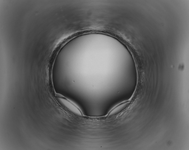 X0000097901214200803281331