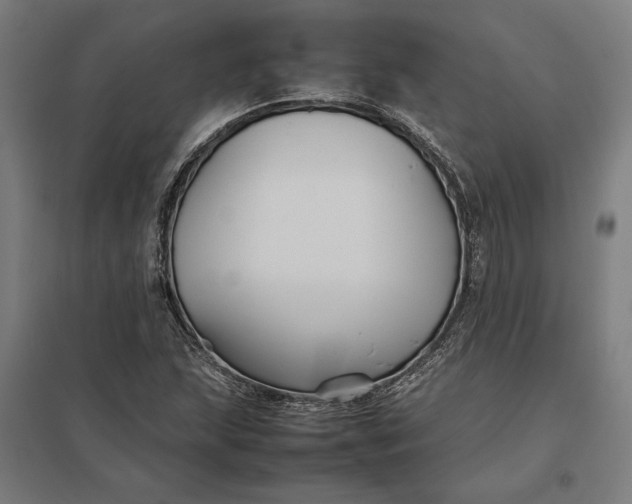 X0000097901215200803281331