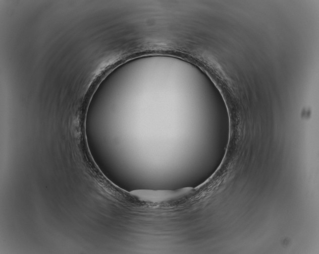 X0000097901218200803281331