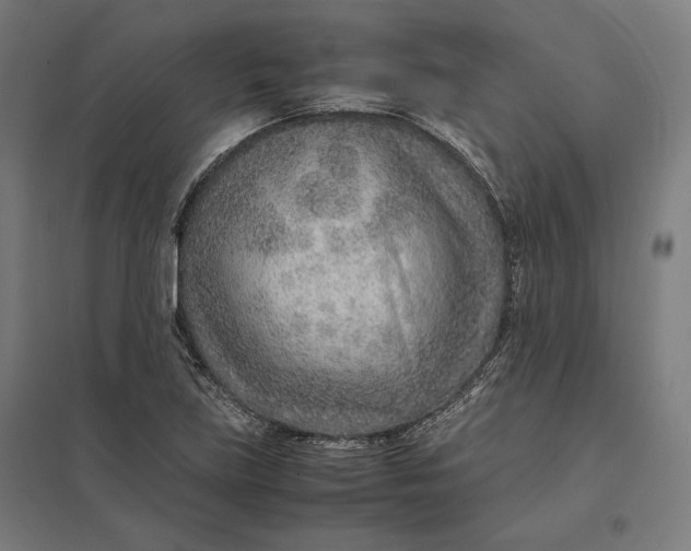 X0000097901219200803281331