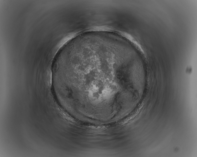 X0000097901221200803281332