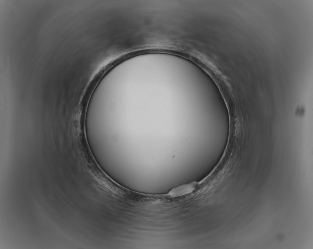 X0000097901222200803281332