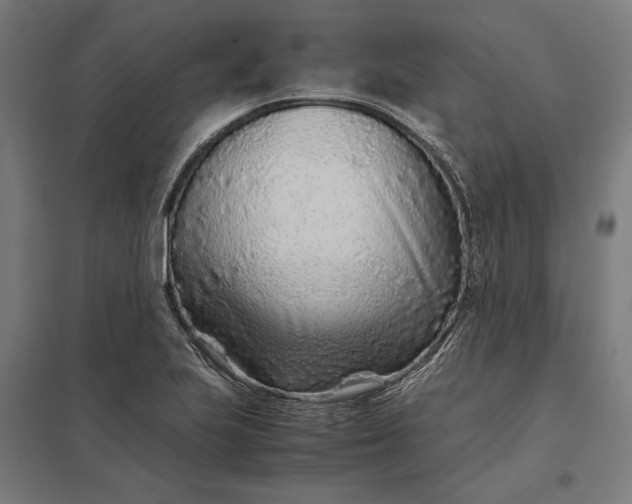 X0000097901223200803281332