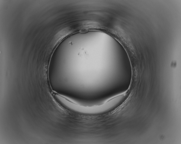 X0000097901225200803281332