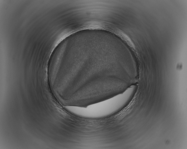 X0000097901226200803281332