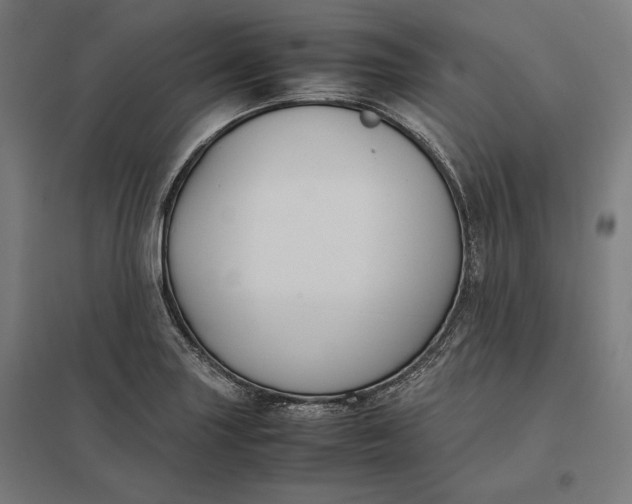 X0000097901227200803281332