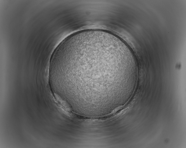 X0000097901228200803281332