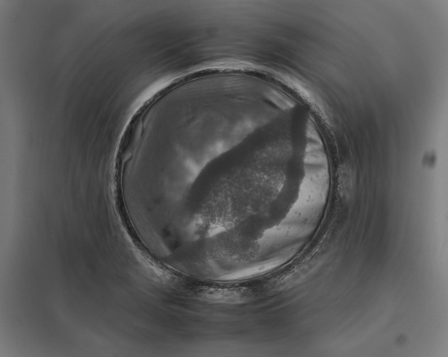 X0000097901229200803281332