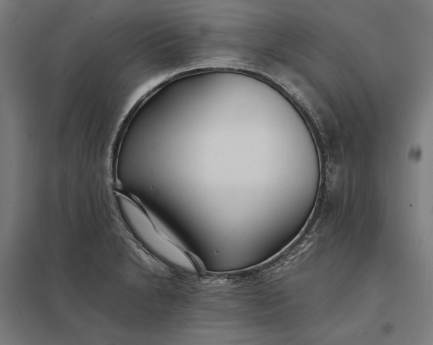 X0000097901230200803281332