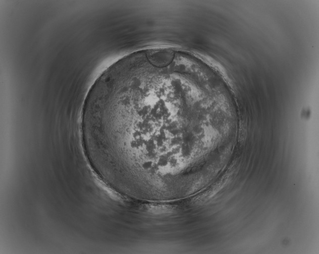 X0000097901231200803281332