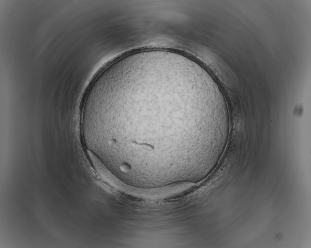 X0000097901232200803281332