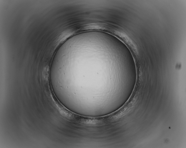 X0000097901233200803281332