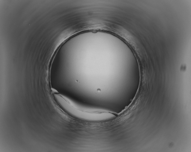 X0000097901234200803281332