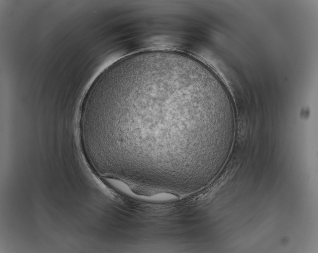 X0000097901235200803281332