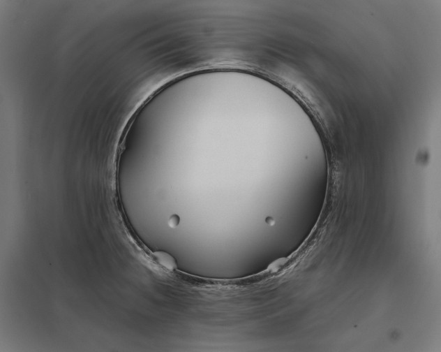 X0000097901236200803281332