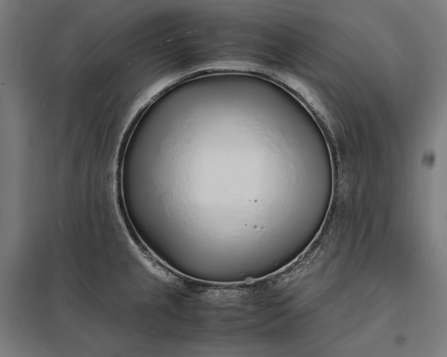 X0000097901237200803281332