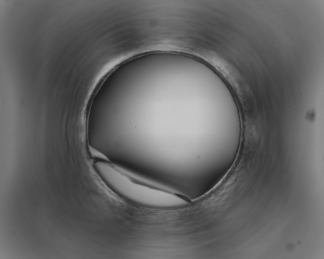 X0000097901238200803281332