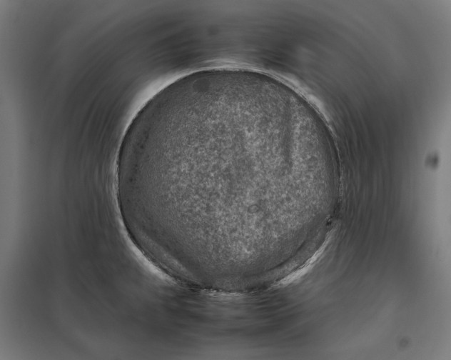 X0000097901239200803281332