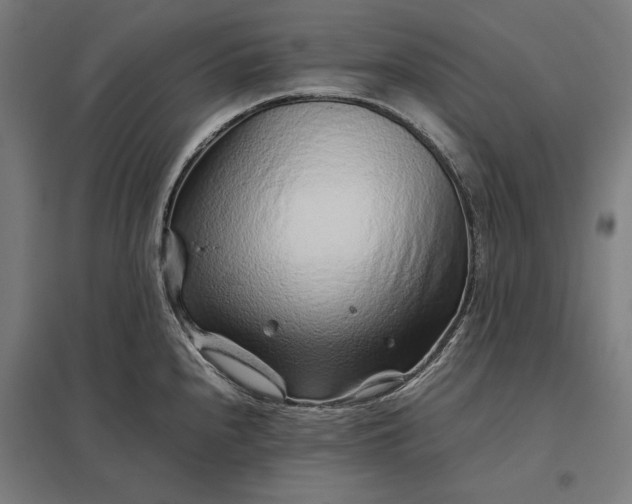 X0000097901240200803281332