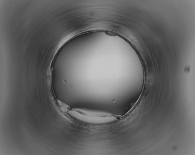 X0000097901242200803281332