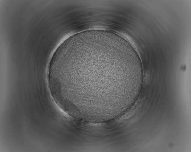 X0000097901243200803281332
