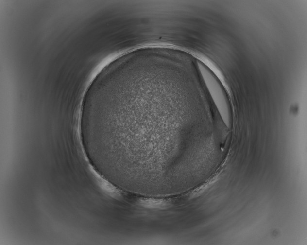 X0000097901245200803281332