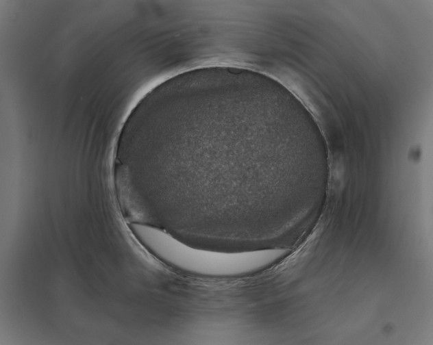 X0000097901246200803281332