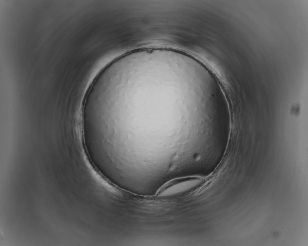 X0000097901247200803281332