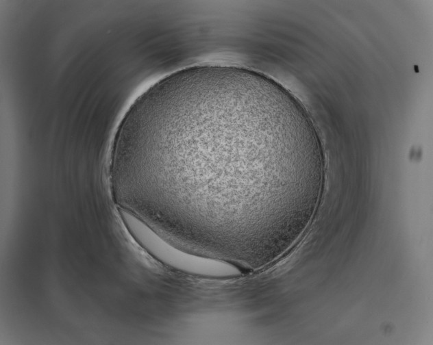 X0000097901248200803281332