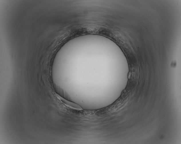 X0000097901249200803281331