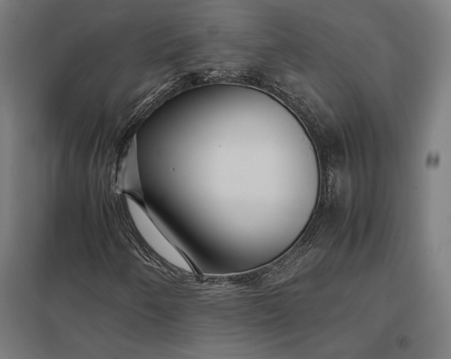 X0000097901250200803281331