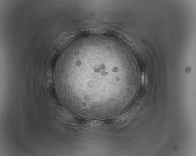 X0000097901251200803281331