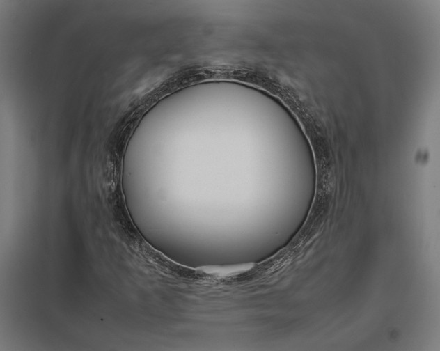 X0000097901253200803281331