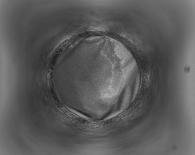 X0000097901254200803281331