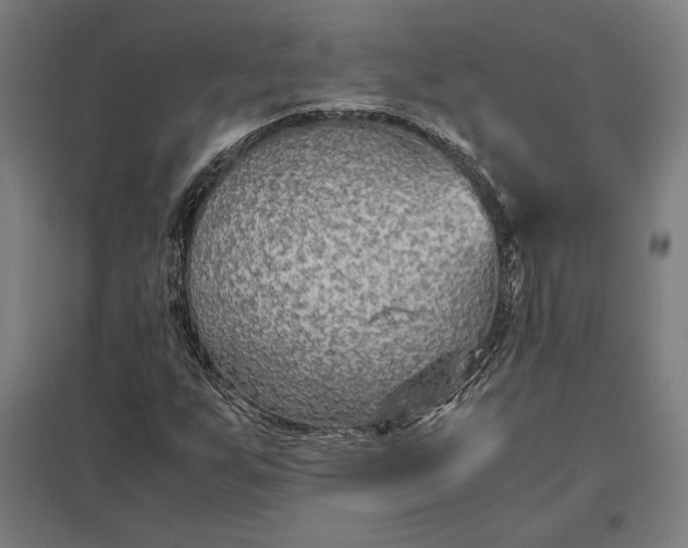 X0000097901255200803281331