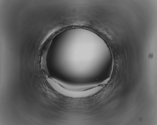 X0000097901256200803281331