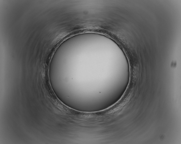 X0000097901257200803281331