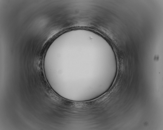 X0000097901258200803281331