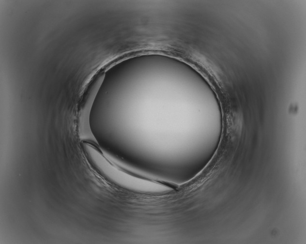 X0000097901260200803281331