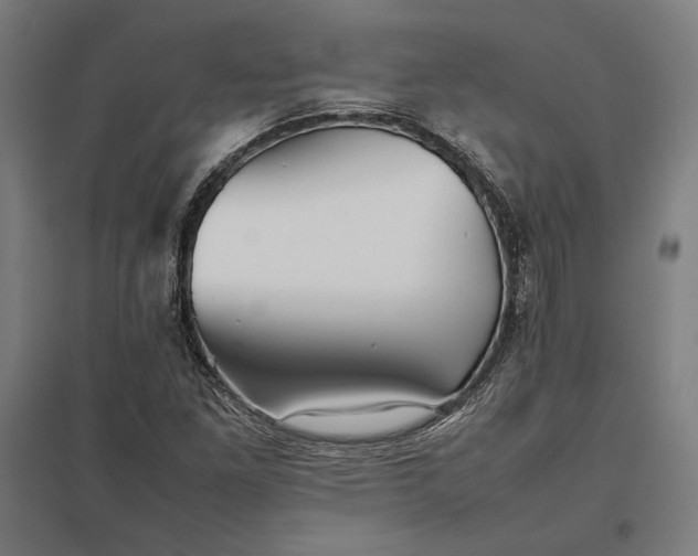 X0000097901261200803281331