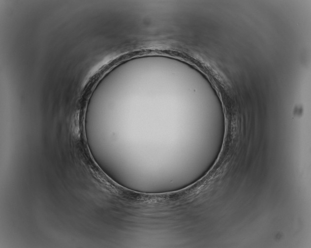 X0000097901262200803281331