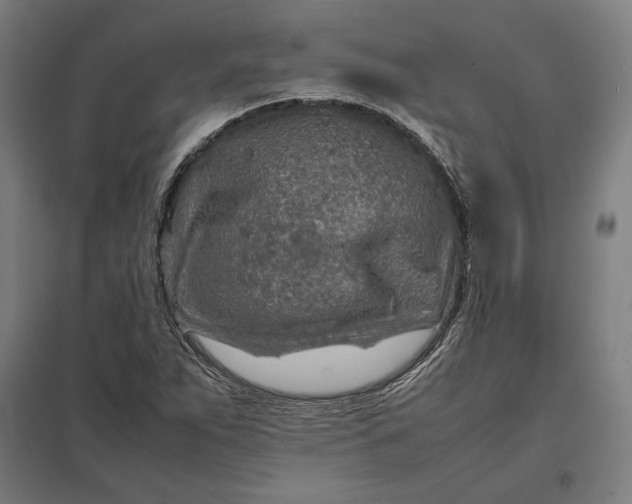 X0000097901263200803281331