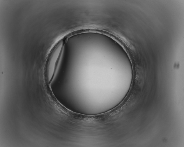 X0000097901264200803281331