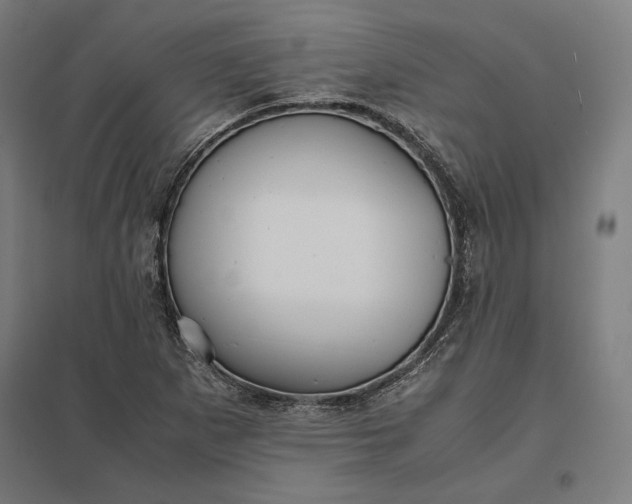 X0000097901265200803281331
