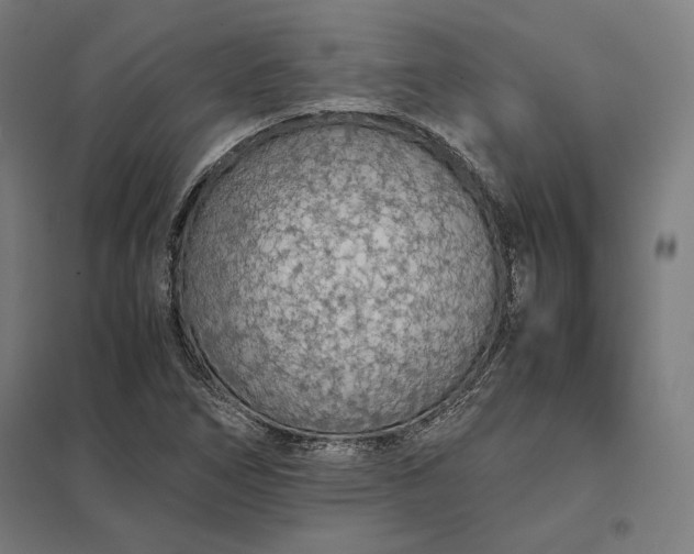 X0000097901266200803281331