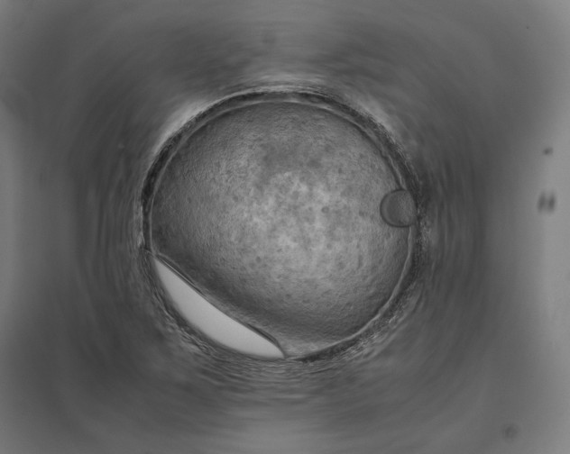 X0000097901267200803281331